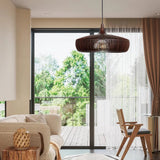Feature Pendant Light view 12