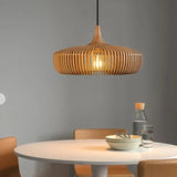 Feature Pendant Light view 2