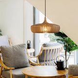 Feature Pendant Light view 4