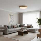 Round Gold Flush Ceiling Light view 2