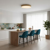 Round Gold Flush Ceiling Light view 5