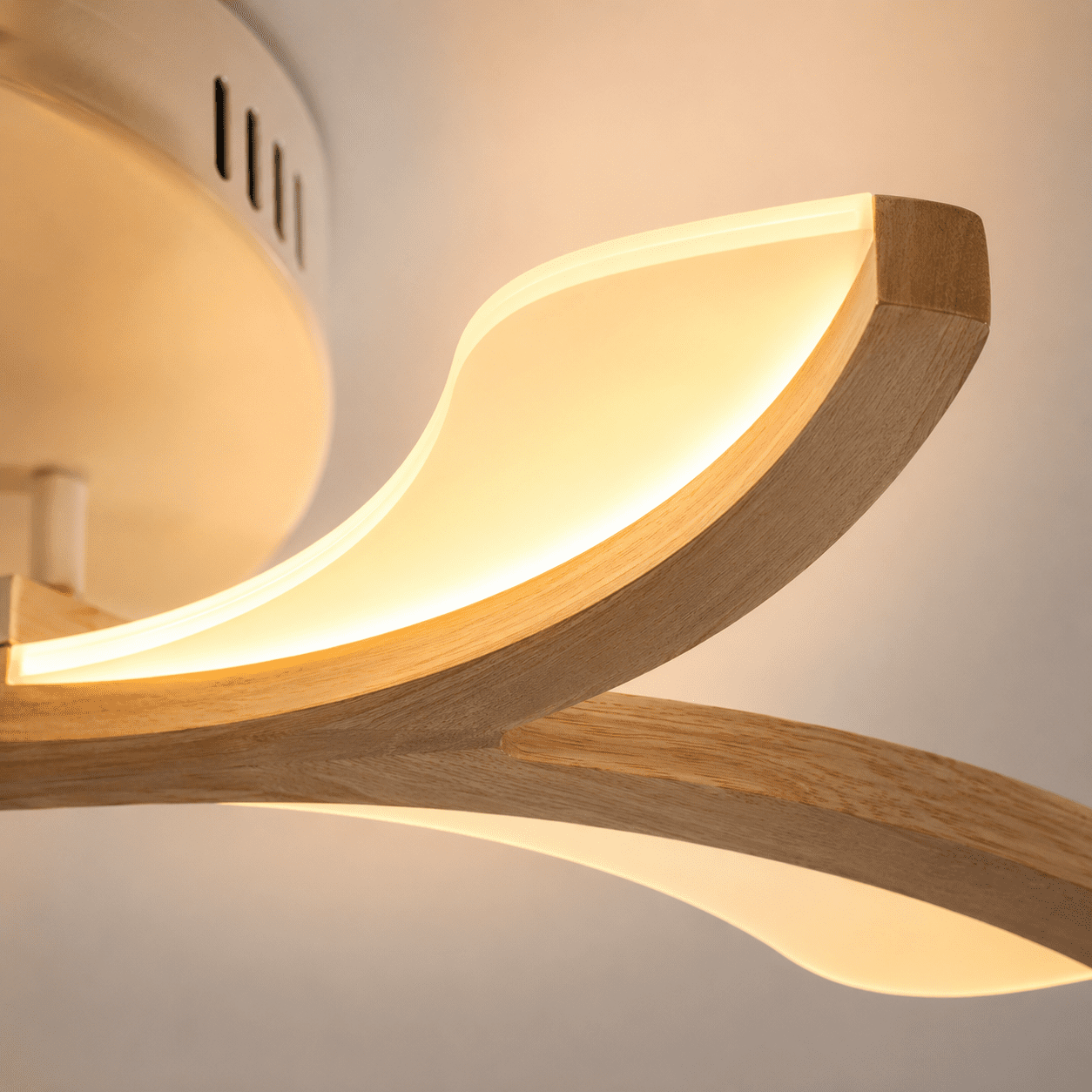 Flower LED Ceiling Light view 7