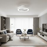 Flush Ceiling Fan view 7