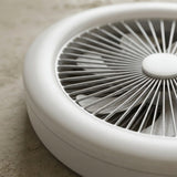 Flush Ceiling Fan Light view 5