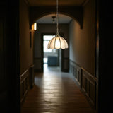 Frosted Glass Pendant Light view 2