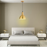 Gold Metal Pendant Light view 6