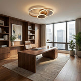 Home Office Ceiling Lights view 7