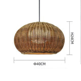 Suspension extérieur osier view 10