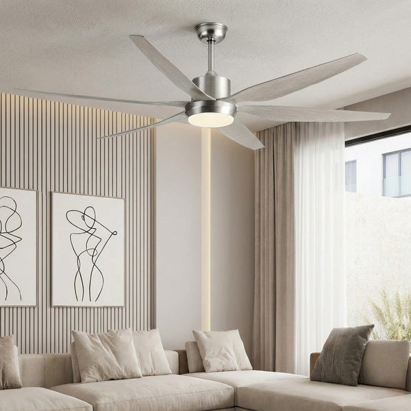 Large Ceiling Fan