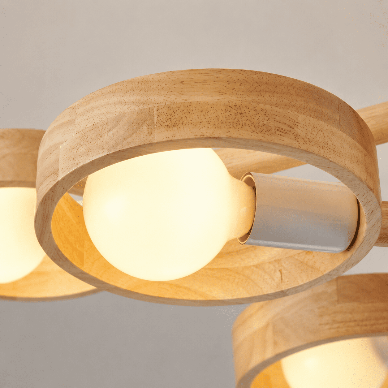 Large Ceiling Light view 6