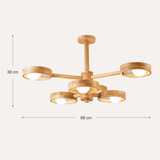 Large Ceiling Light view 7