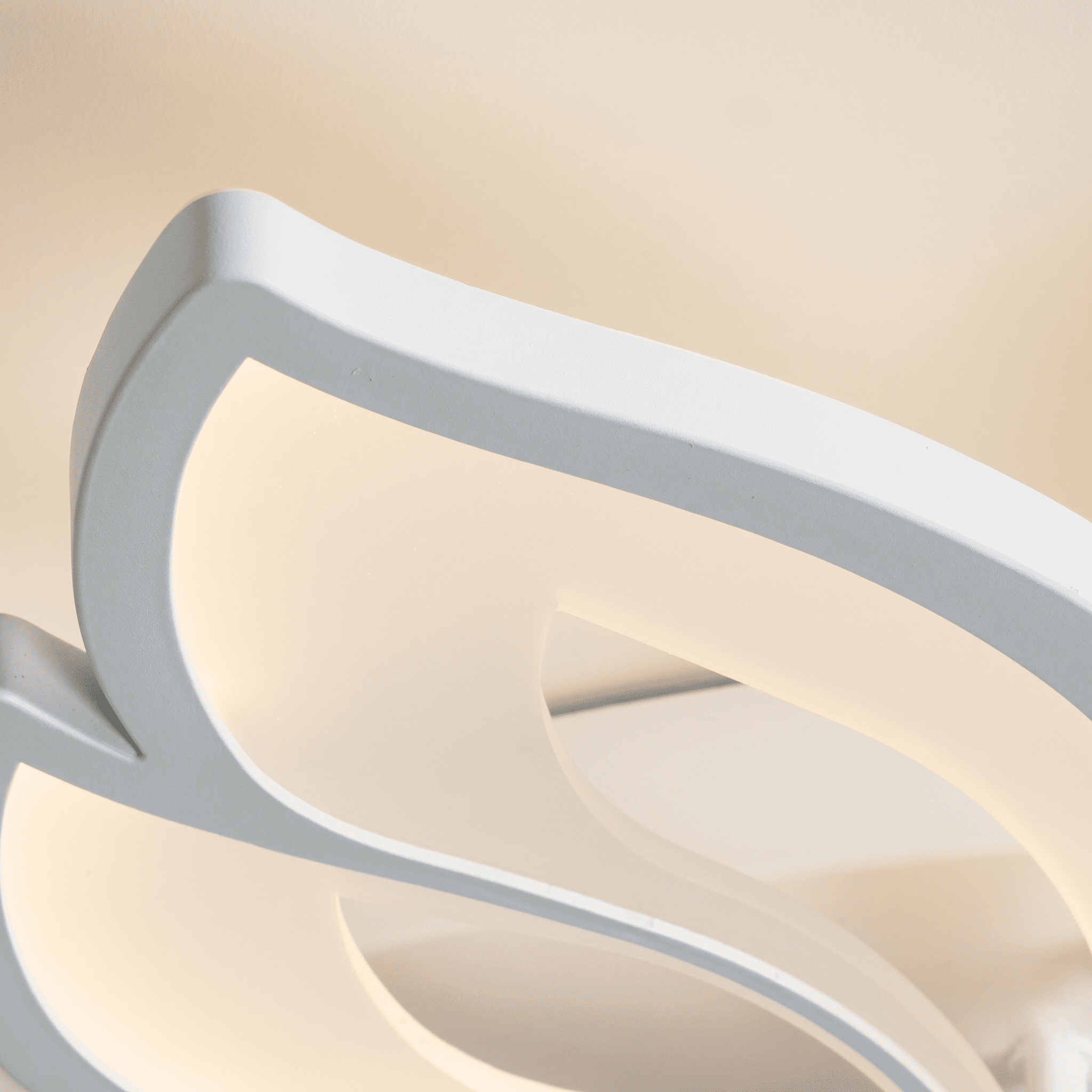 LED Floral Ceiling Fitting view 5