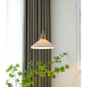 Living Room Pendant Light