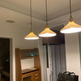Living Room Pendant Light view 6
