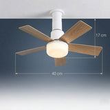 Modern Ceiling Fan with Light view 2