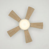 Modern Ceiling Fan with Light view 8