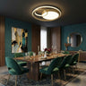 Modern Ceiling Lights