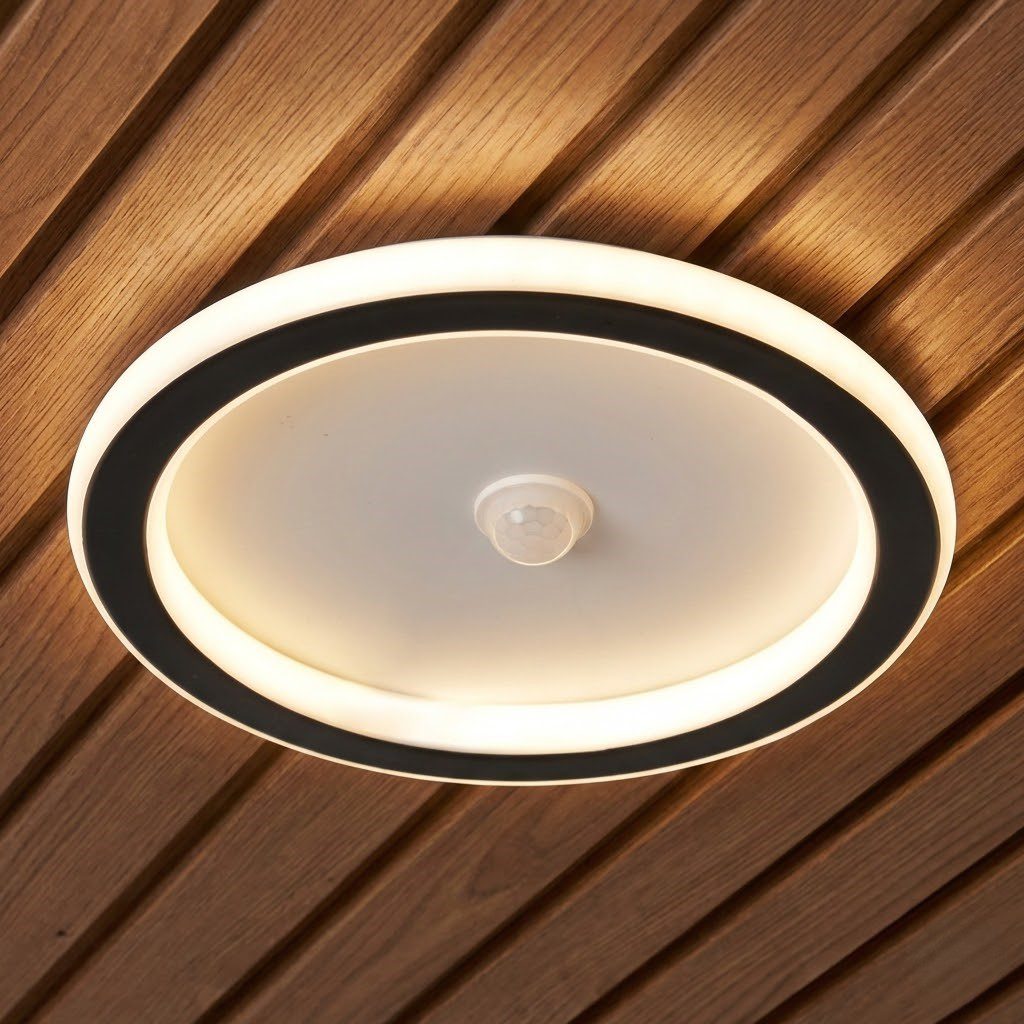 Motion Sensor Ceiling Light view 3