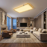 Rectangle Ceiling Light view 3