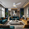 Remote Control Ceiling Fan with Light