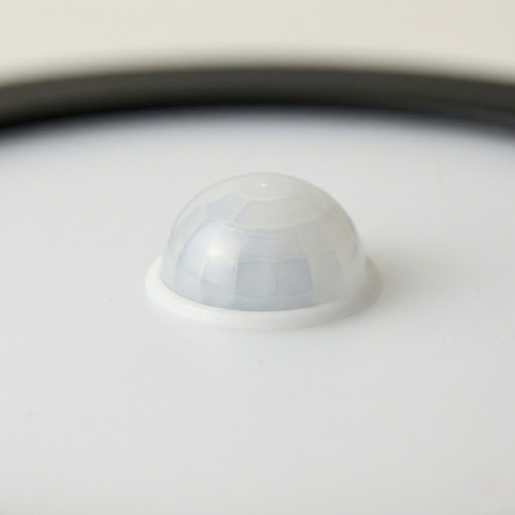 Sensor Ceiling Light view 3