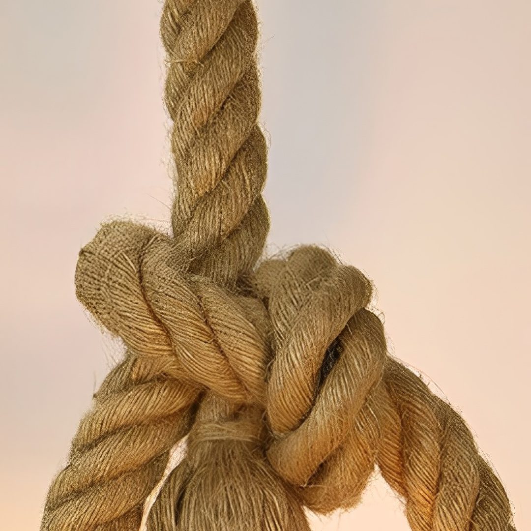 Single Rope Pendant Light view 6