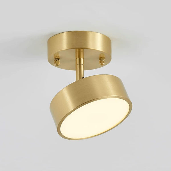 Single Spotlight Ceiling Light