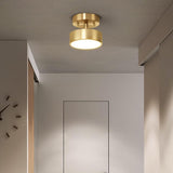 Single Spotlight Ceiling Light view 3