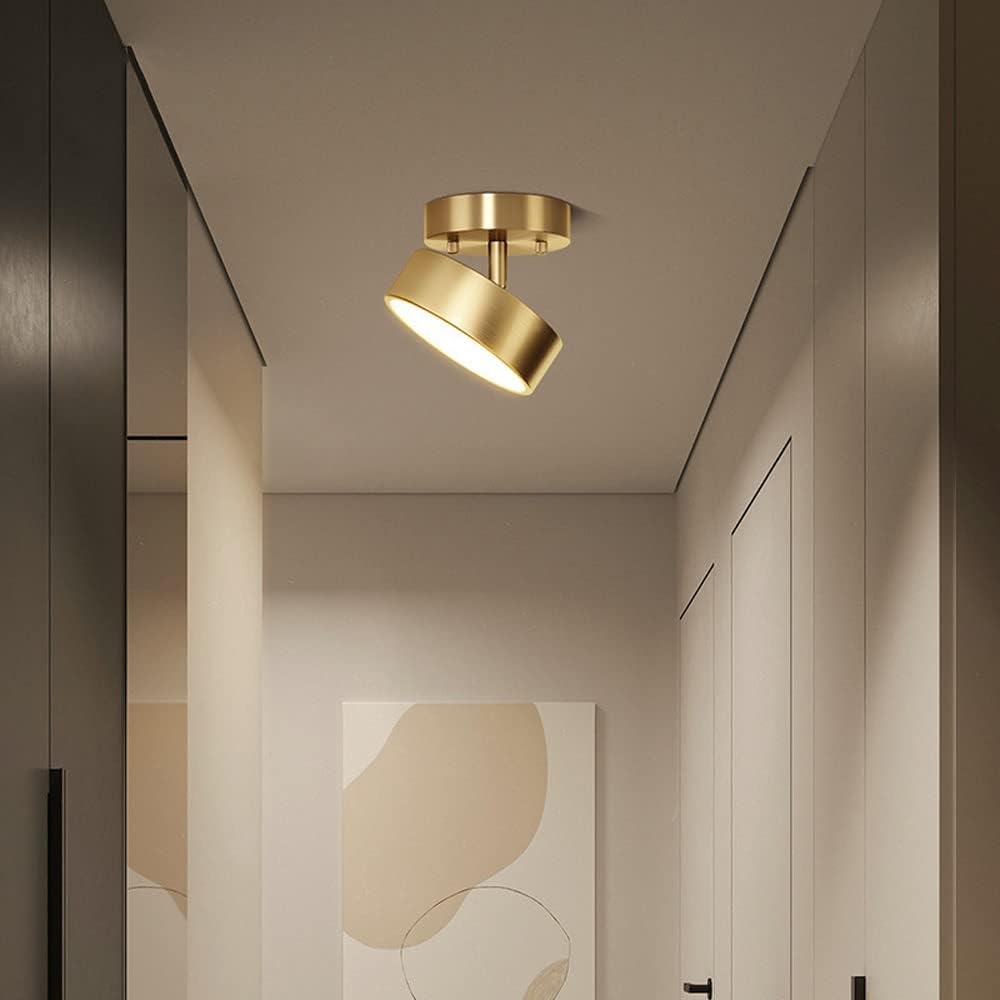 Single Spotlight Ceiling Light view 5