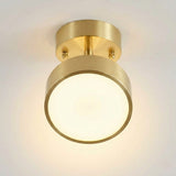 Single Spotlight Ceiling Light view 6