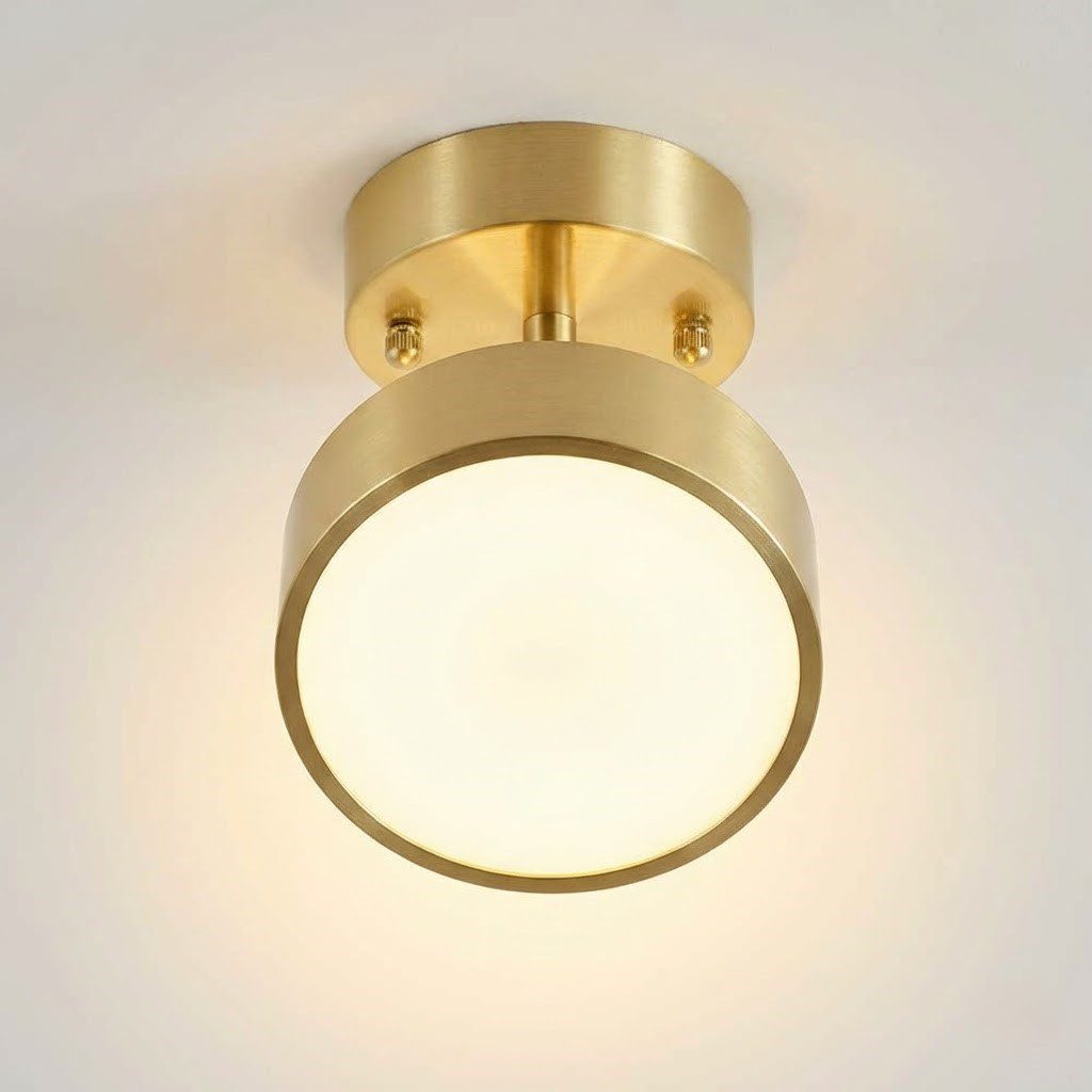 Single Spotlight Ceiling Light view 6
