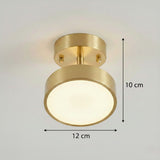 Single Spotlight Ceiling Light view 8