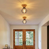 Small Ceiling Light view 4