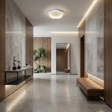 Small Flush Ceiling Light view 9
