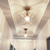 Star Ceiling Light view 3