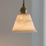 Swing Arm Wall Light Plug In view 3