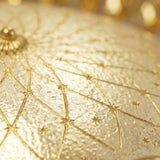 Traditional Ceiling Lights view 4