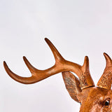Unusual Wall Lights view 6