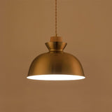 Vintage Brass Pendant Lights view 6