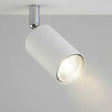 White Spot Lights view 5
