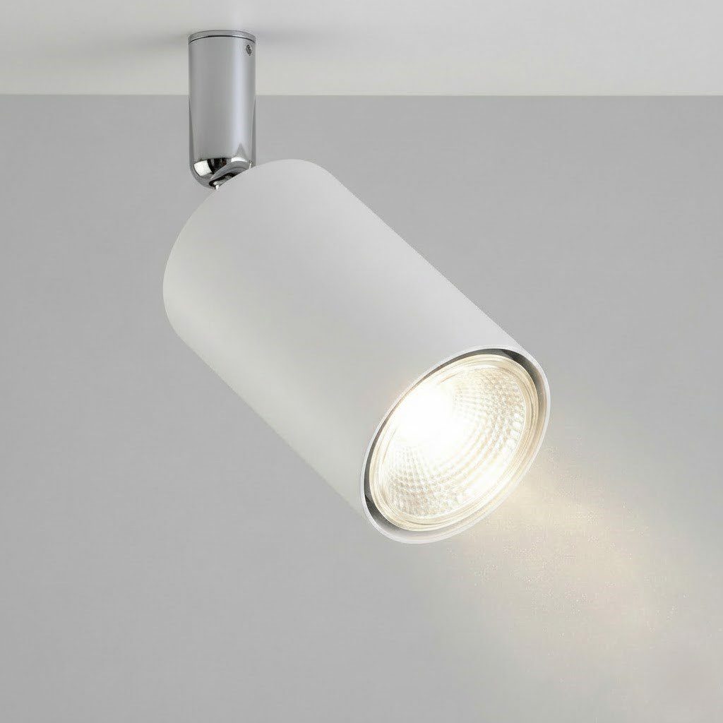 White Spot Lights view 5