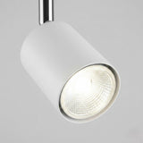 White Spot Lights view 7